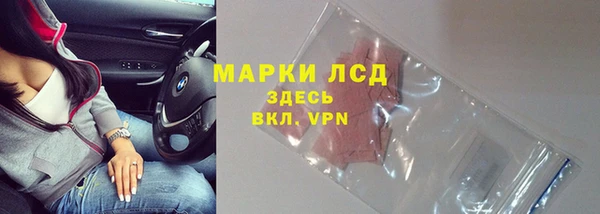 индика Абинск