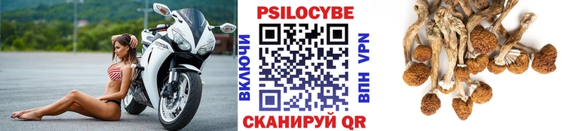 Галлюциногенные грибы мухоморы  купить наркотики сайты  Павловский Посад 