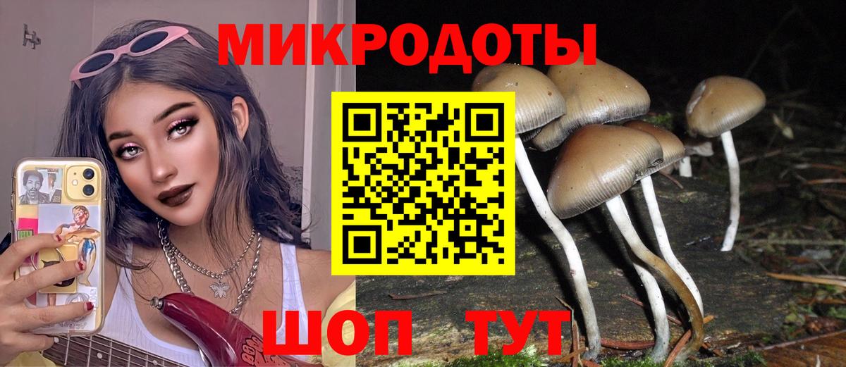 Псилоцибиновые грибы Psilocybe  Псилоцибиновые грибы Psilocybine cubensis  Вход с VPN  Павловский Посад 