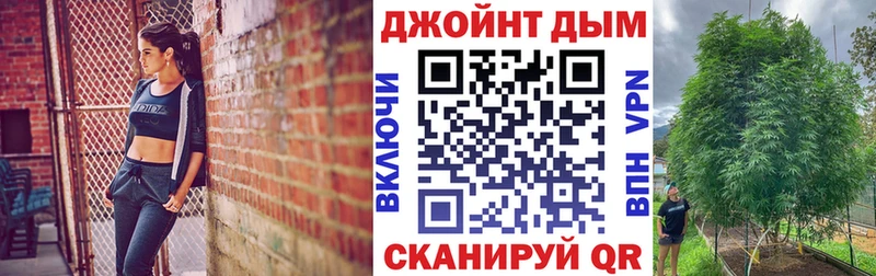 где найти наркотики  Павловский Посад  Бошки марихуана конопля 